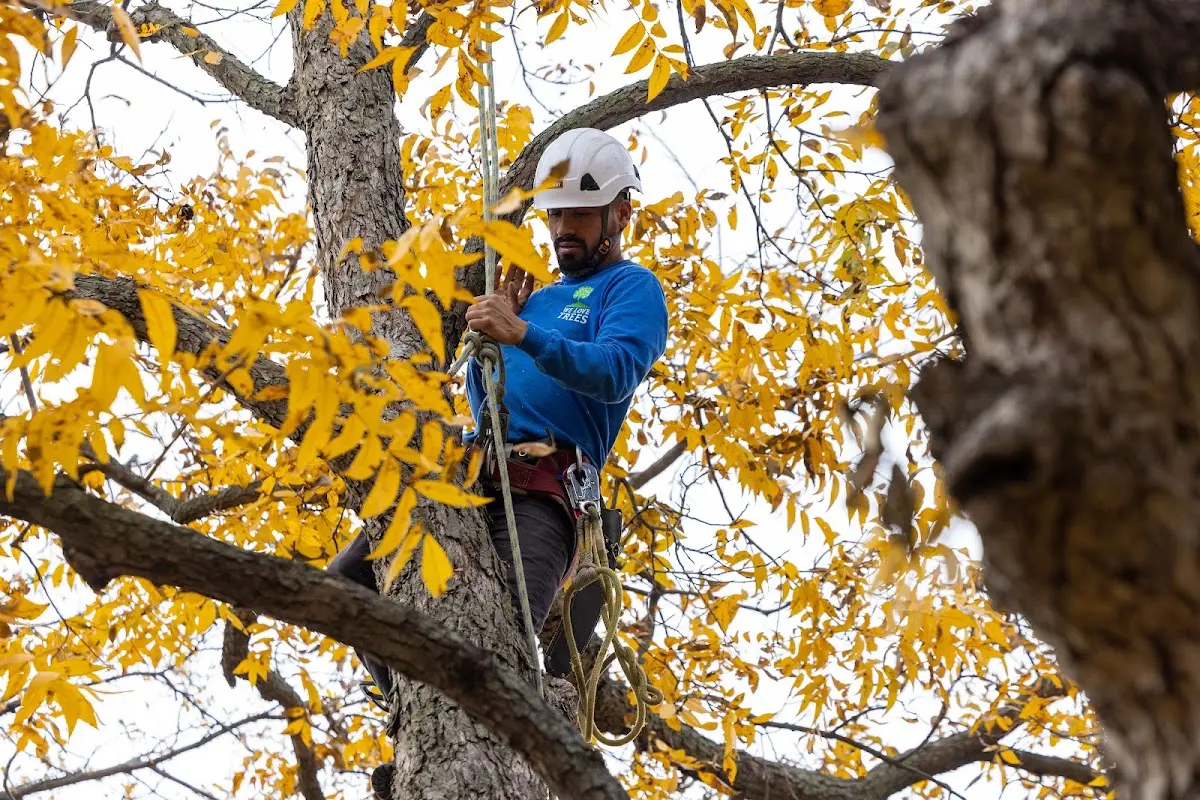 Skilled Storm Damage Cleanup crew working in Floral