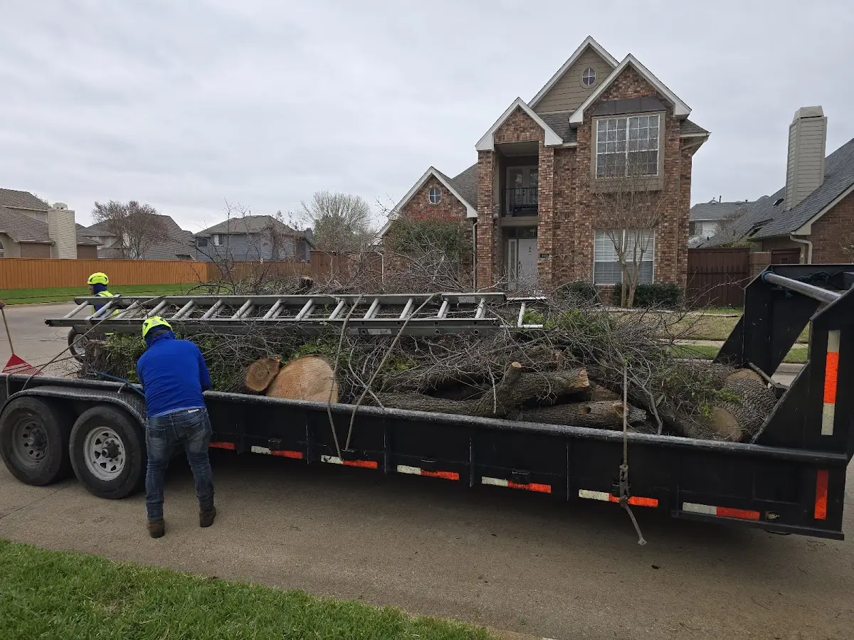 Expert Lot Clearing with proper safety equipment in Floral